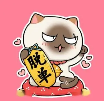 动漫爱好者